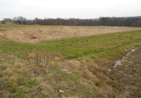 Gulu Gulu, Prażmowo